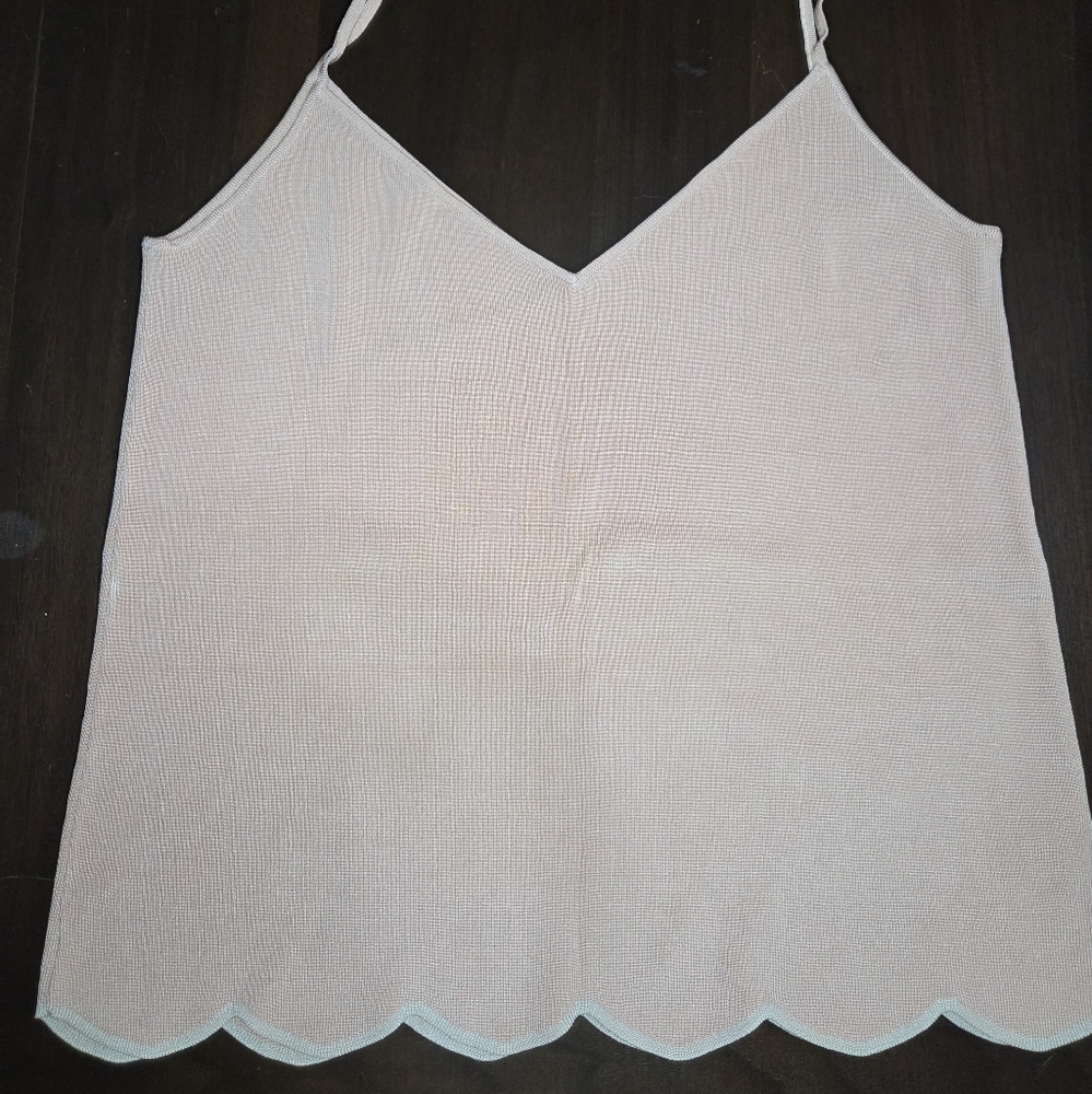 Old Zara Knit Top in Soft Beige Timeless Material